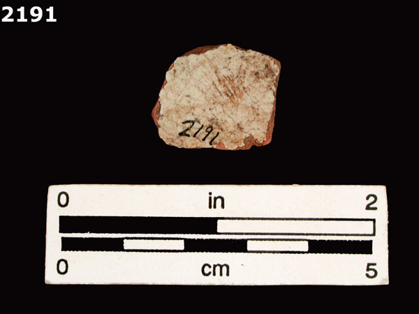 PANAMA POLYCHROME-TYPE A specimen 2191 rear view