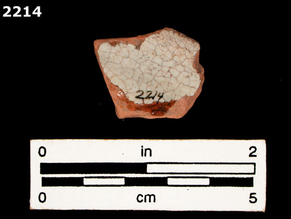 PANAMA POLYCHROME-TYPE A specimen 2214 rear view