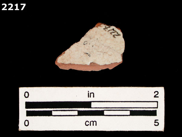 PANAMA POLYCHROME-TYPE A specimen 2217 rear view