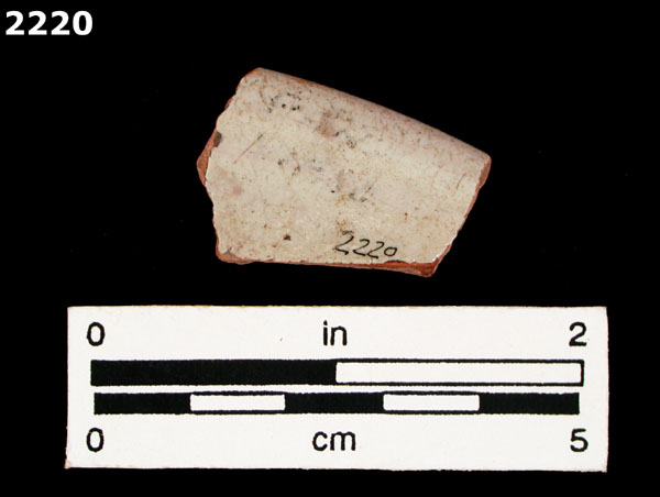 PANAMA POLYCHROME-TYPE A specimen 2220 rear view