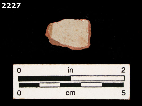 PANAMA POLYCHROME-TYPE A specimen 2227 
