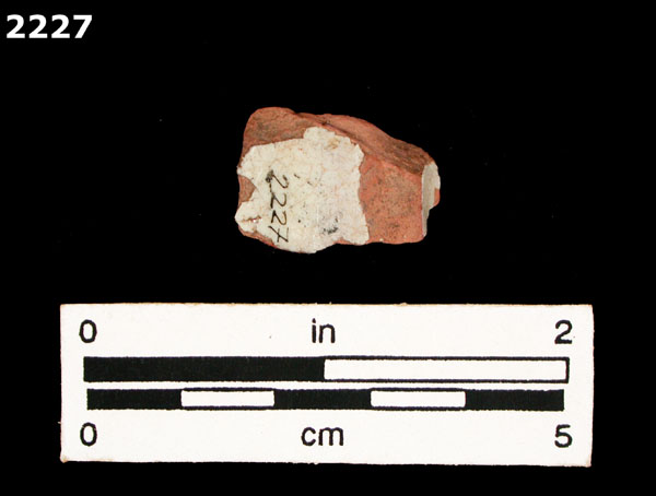 PANAMA POLYCHROME-TYPE A specimen 2227 rear view