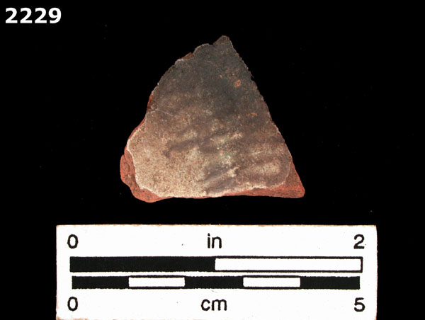 PANAMA POLYCHROME-TYPE A specimen 2229 