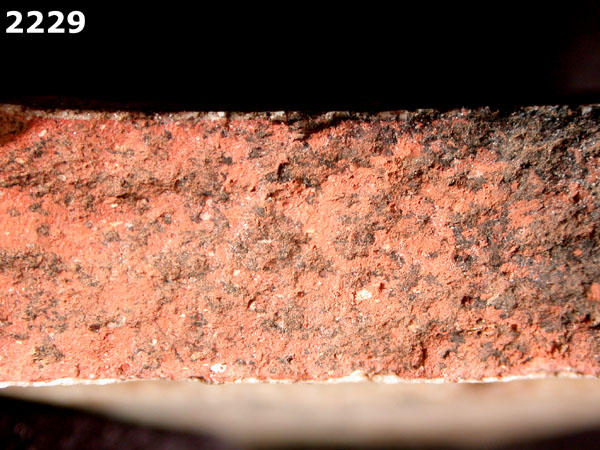 PANAMA POLYCHROME-TYPE A specimen 2229 side view