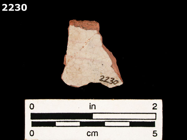 PANAMA POLYCHROME-TYPE A specimen 2230 rear view