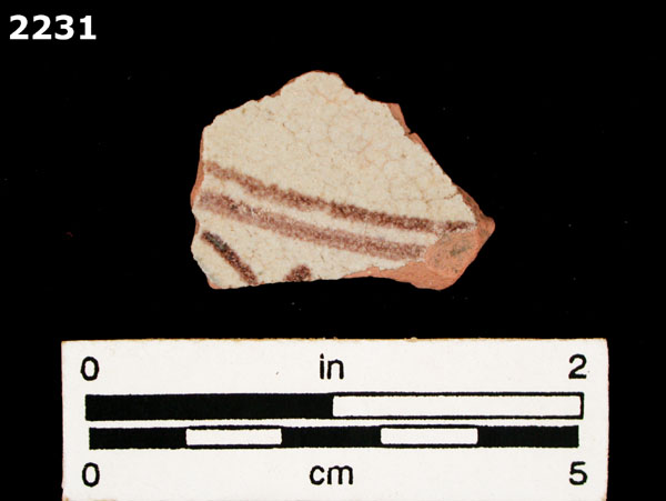 PANAMA POLYCHROME-TYPE A specimen 2231 