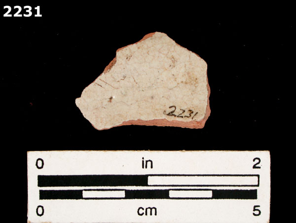 PANAMA POLYCHROME-TYPE A specimen 2231 rear view