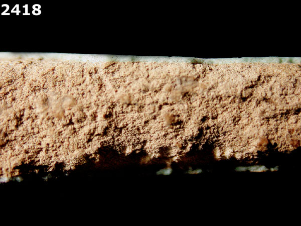 UNIDENTIFIED POLYCHROME MAJOLICA, IBERIAN specimen 2418 side view