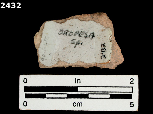 UNIDENTIFIED GREEN ON WHITE MAJOLICA, SPAIN specimen 2432 rear view