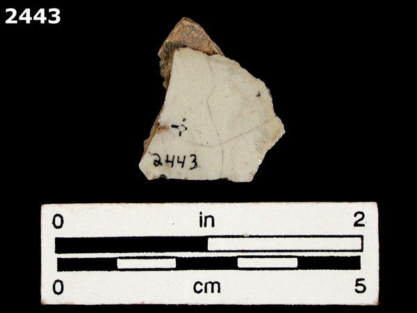 UNIDENTIFIED POLYCHROME MAJOLICA, MEXICO (19th CENTURY) specimen 2443 rear view