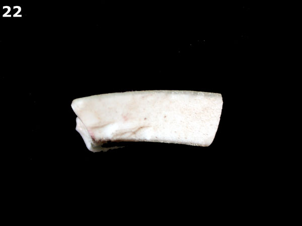 PORCELAIN, CHINESE IMARI specimen 22 side view