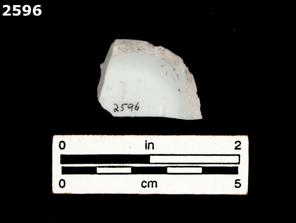 PORCELAIN, UID ASIAN specimen 2596 rear view