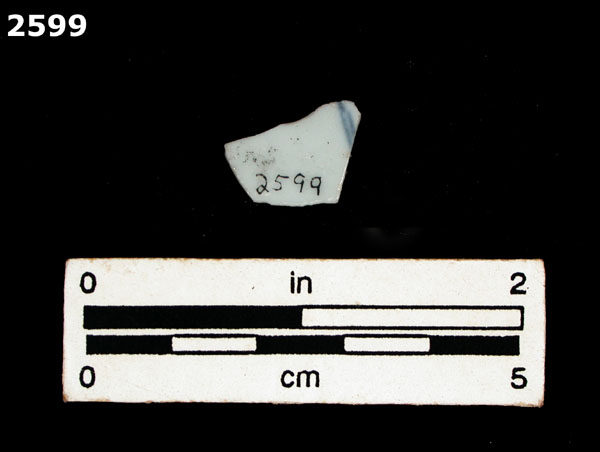 PORCELAIN, UID ASIAN specimen 2599 rear view