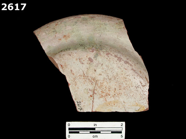 ROMITA PLAIN specimen 2617 rear view