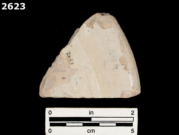 YAYAL BLUE ON WHITE specimen 2623 rear view