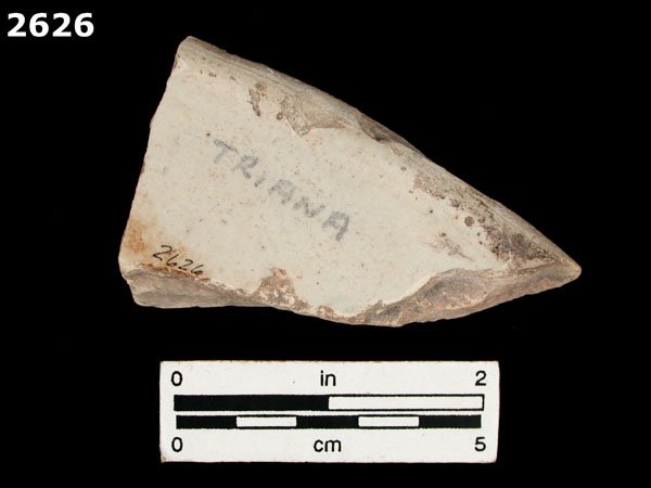 YAYAL BLUE ON WHITE specimen 2626 rear view