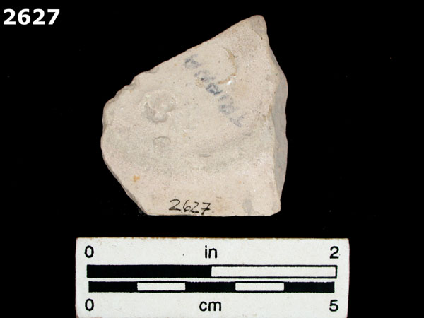 YAYAL BLUE ON WHITE specimen 2627 rear view