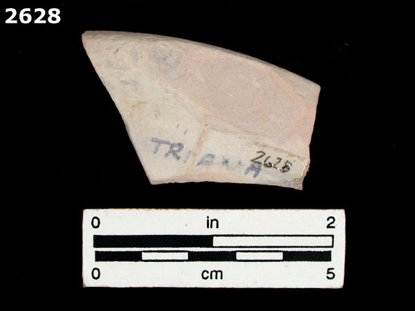 YAYAL BLUE ON WHITE specimen 2628 rear view