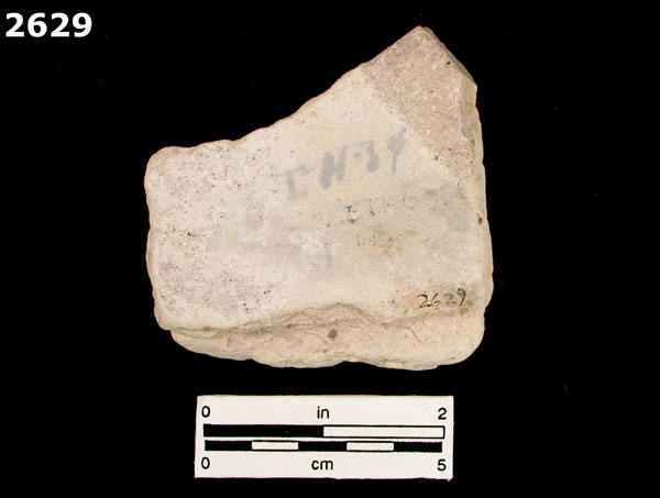 PUEBLA BLUE ON WHITE specimen 2629 rear view