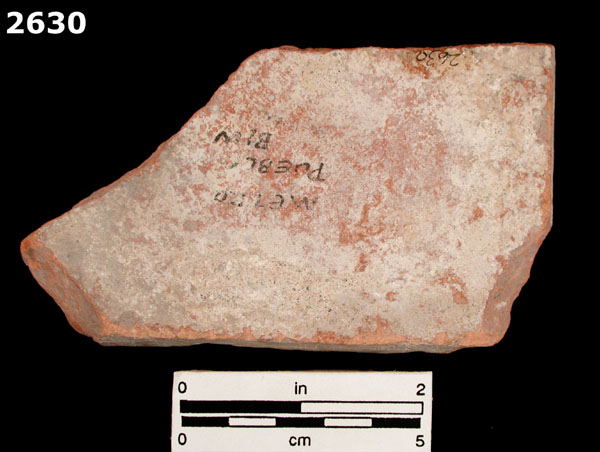 PUEBLA BLUE ON WHITE specimen 2630 rear view