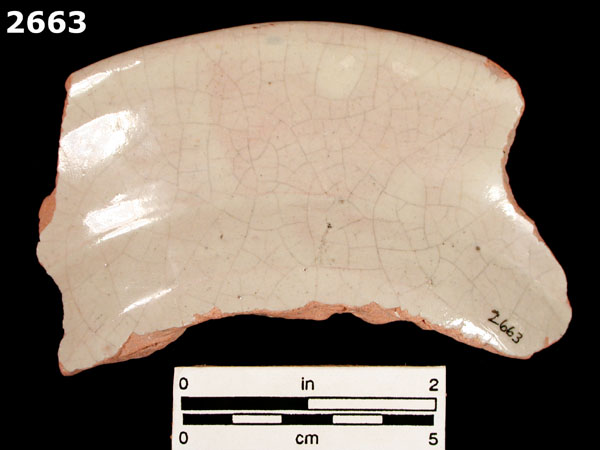 SAN LUIS BLUE ON WHITE specimen 2663 rear view