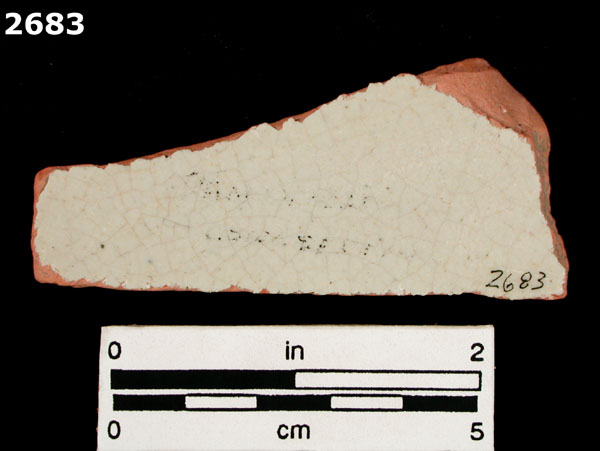 PANAMA BLUE ON WHITE specimen 2683 rear view