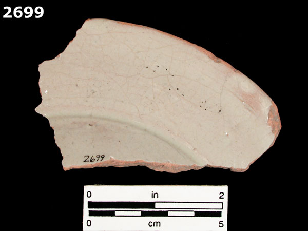 SAN LUIS BLUE ON WHITE specimen 2699 rear view