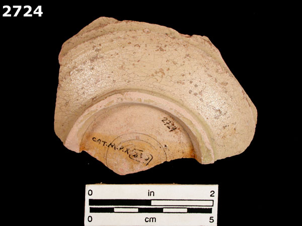 MEXICO CITY WHITE-VARIETY 2 specimen 2724 rear view