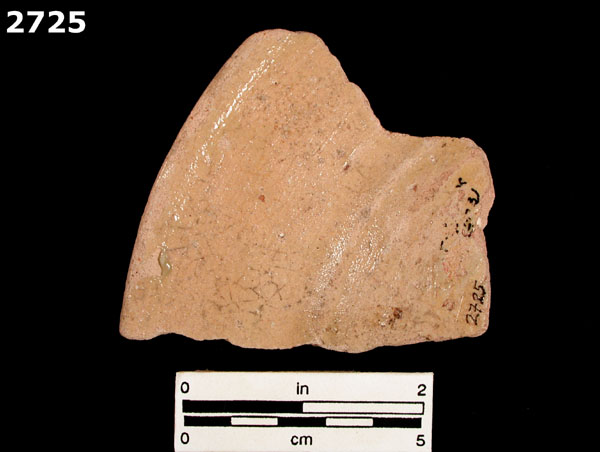 MEXICO CITY WHITE-VARIETY 2 specimen 2725 rear view