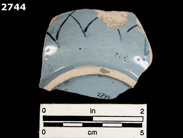 LIGURIAN BLUE ON BLUE specimen 2744 rear view