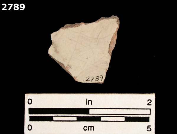 PUEBLA BLUE ON WHITE specimen 2789 rear view