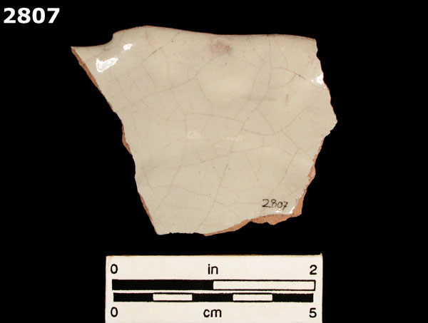 VENTURA POLYCHROME specimen 2807 rear view