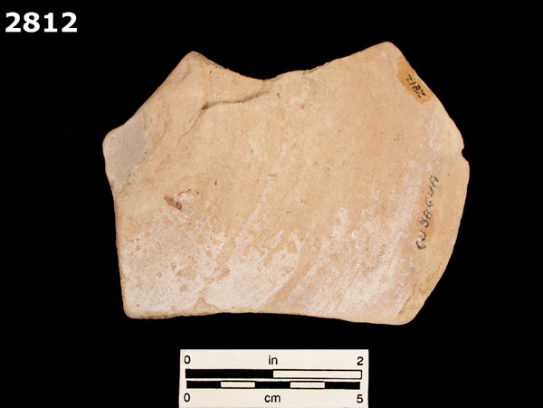 COLUMBIA PLAIN specimen 2812 rear view