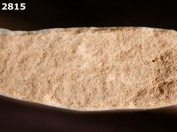 UNIDENTIFIED POLYCHROME MAJOLICA, IBERIAN specimen 2815 side view