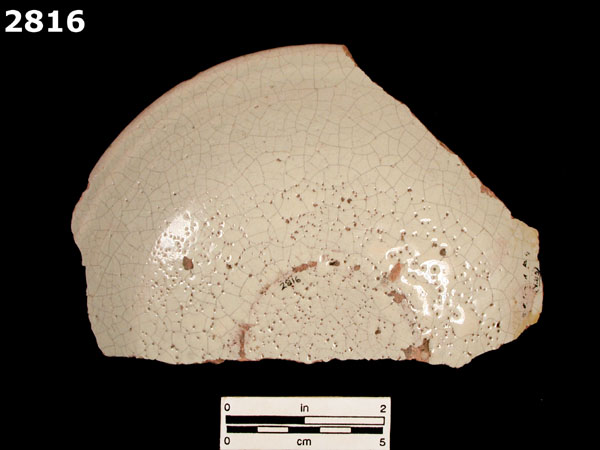 TLALPAN WHITE specimen 2816 rear view
