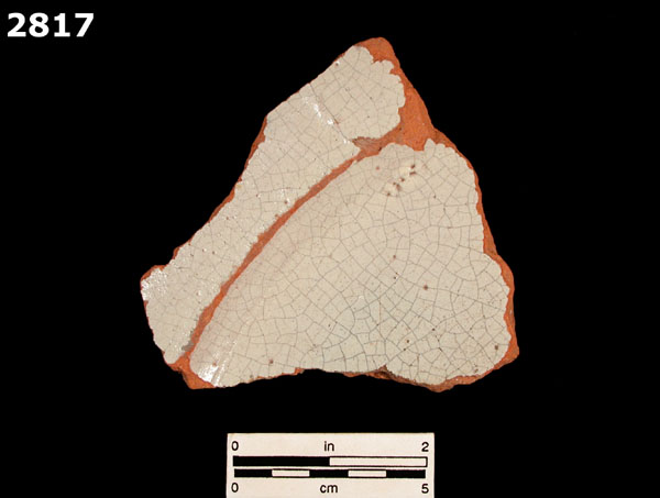 TLALPAN WHITE specimen 2817 front view