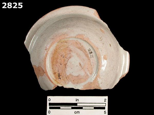 SEVILLA WHITE specimen 2825 rear view