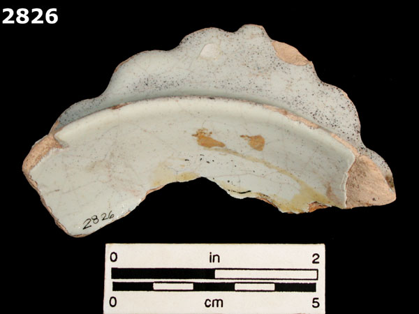 SEVILLA WHITE specimen 2826 rear view