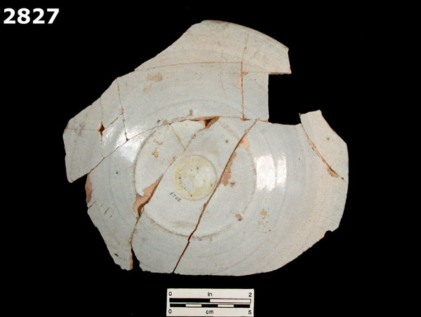 SEVILLA WHITE specimen 2827 rear view