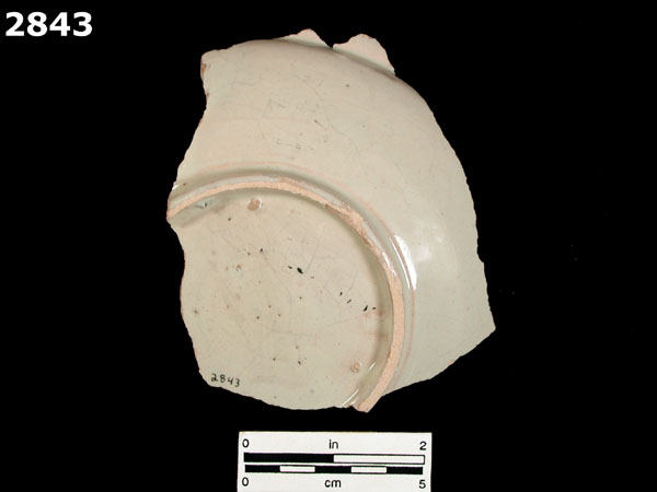 PUEBLA BLUE ON WHITE specimen 2843 rear view