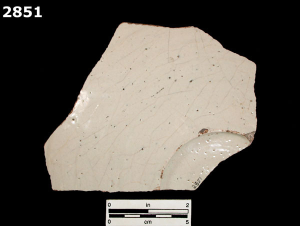 FIG SPRINGS POLYCHROME specimen 2851 rear view
