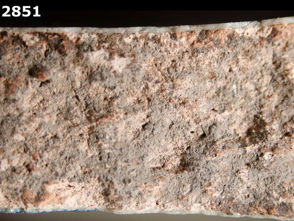 FIG SPRINGS POLYCHROME specimen 2851 side view