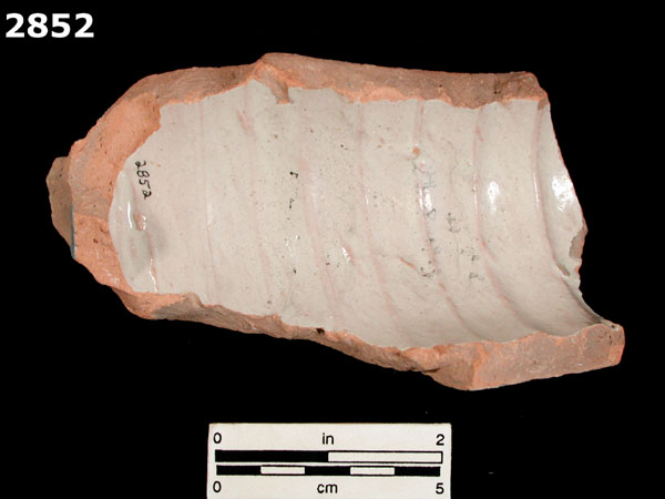 SEVILLA BLUE ON BLUE specimen 2852 rear view