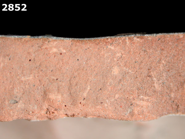 SEVILLA BLUE ON BLUE specimen 2852 side view