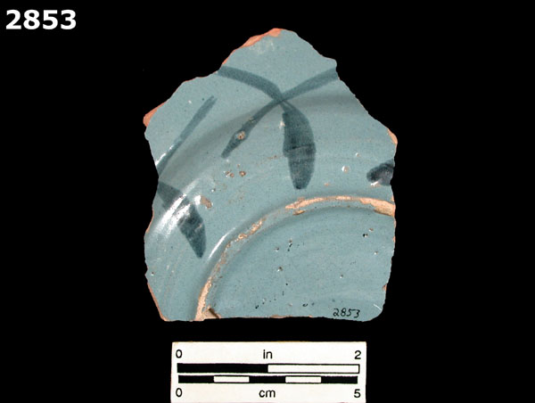 SEVILLA BLUE ON BLUE specimen 2853 rear view