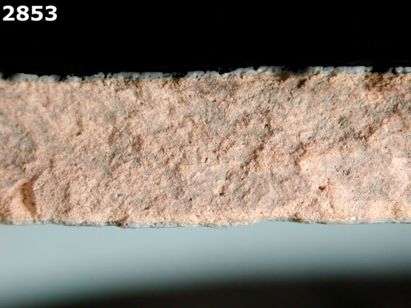 SEVILLA BLUE ON BLUE specimen 2853 side view