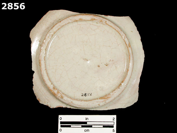 FIG SPRINGS POLYCHROME specimen 2856 rear view