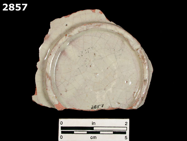 FIG SPRINGS POLYCHROME specimen 2857 rear view