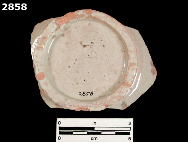 FIG SPRINGS POLYCHROME specimen 2858 rear view