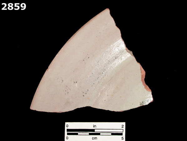 FIG SPRINGS POLYCHROME specimen 2859 rear view